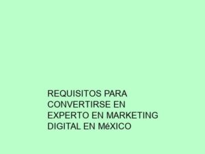Requisitos para Convertirse en Experto en Marketing Digital en México