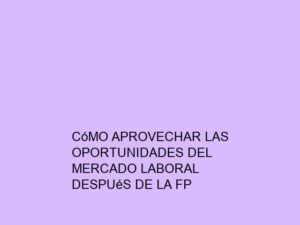 Cómo Aprovechar las Oportunidades del Mercado Laboral después de la FP