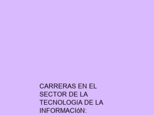Carreras en el Sector de la Tecnología de la Información: Administradores de Sistemas y Especialistas en Soporte Técnico