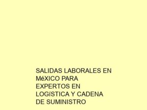 Salidas Laborales en México para Expertos en Logística y Cadena de Suministro